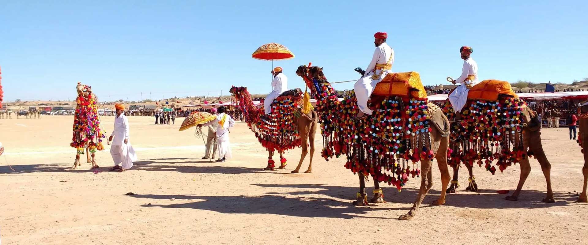 BIKANER CAMEL FESTIVAL TOUR - 16 DAYS