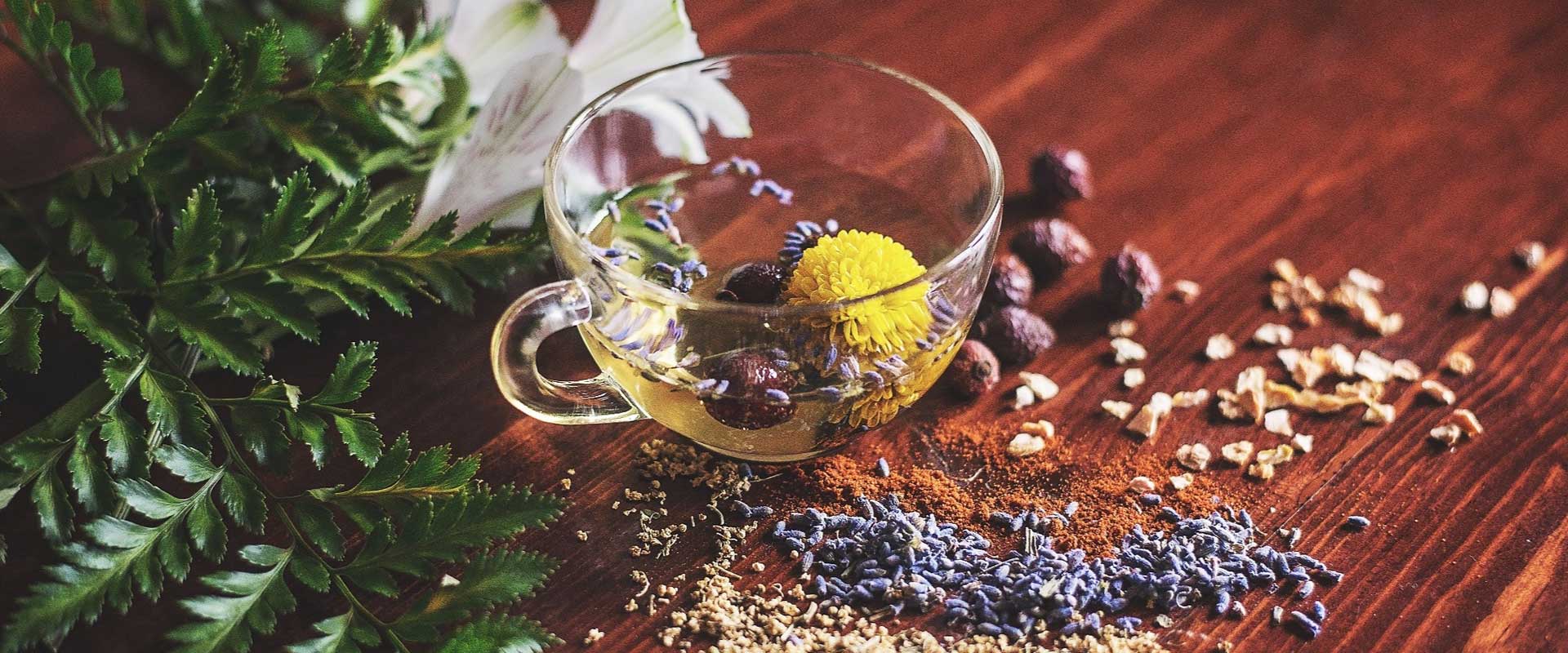 KERALA AYURVEDA AND SPICES TOUR 