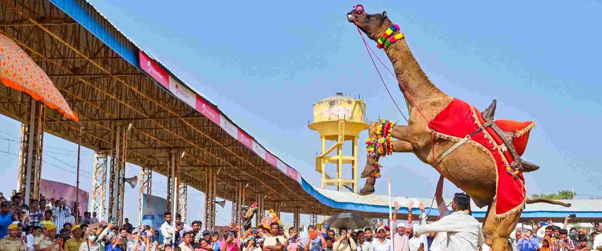 TAJ MAHAL & THE TREASURES OF INDIA - PUSHKAR FAIR 