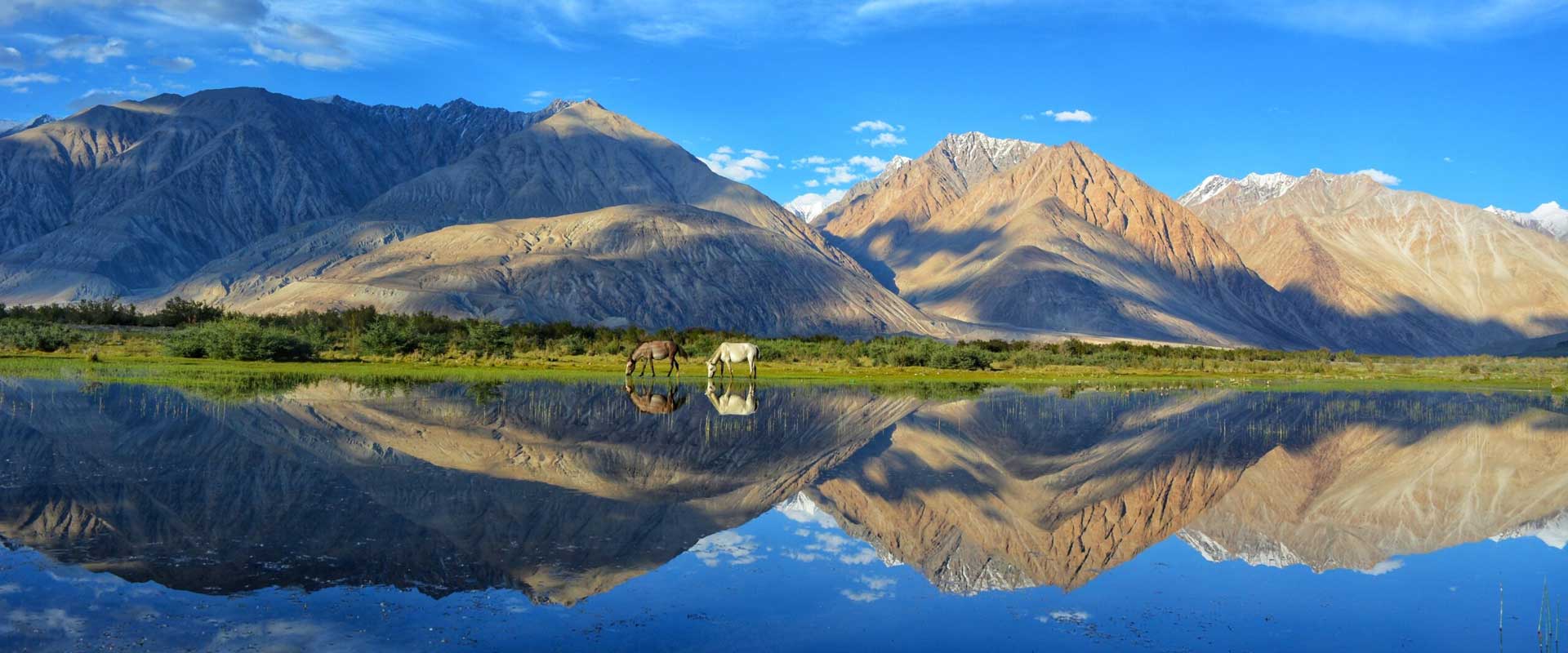 TAJ WITH HIMALAYA TOUR 