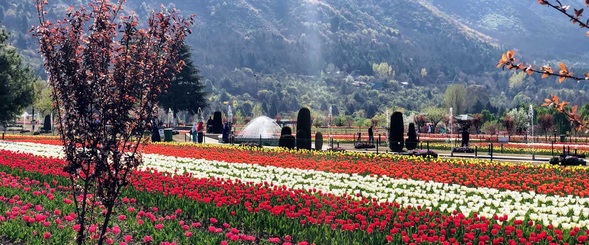 HIGH PASSES ON THE ROAD TOUR 