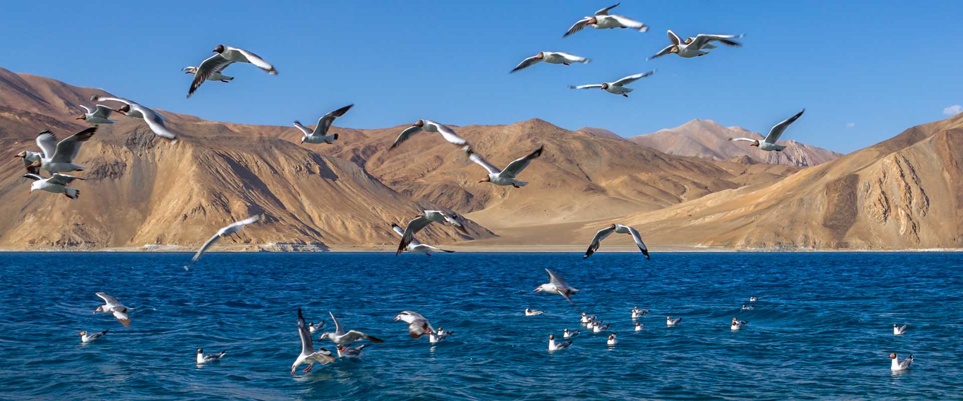 CAPITAL WITH HIMALAYAS TOUR 