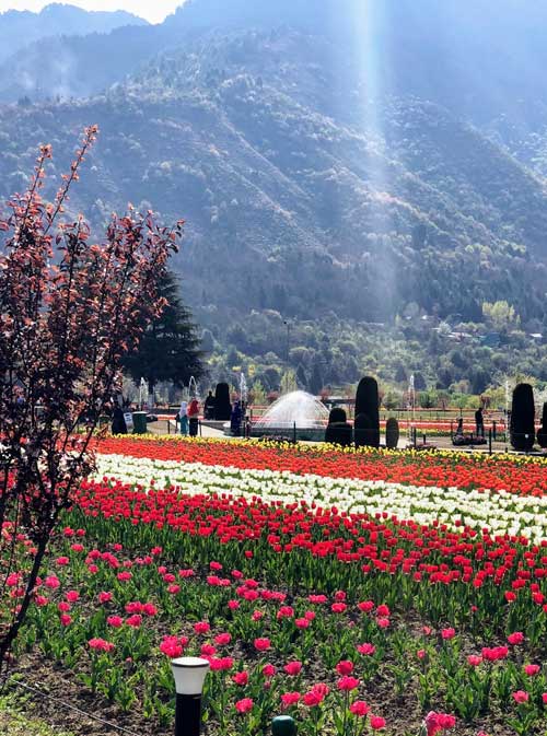 HIGH PASSES ON THE ROAD TOUR 