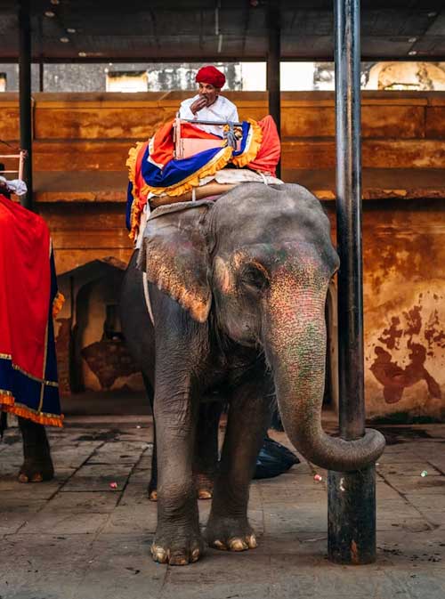 RAJASTHAN MOTORBIKE TOUR 