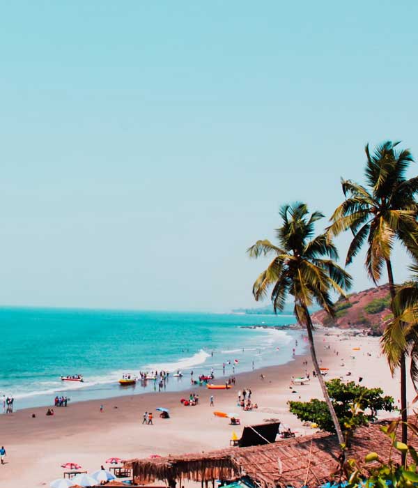 Luxury West India Tours