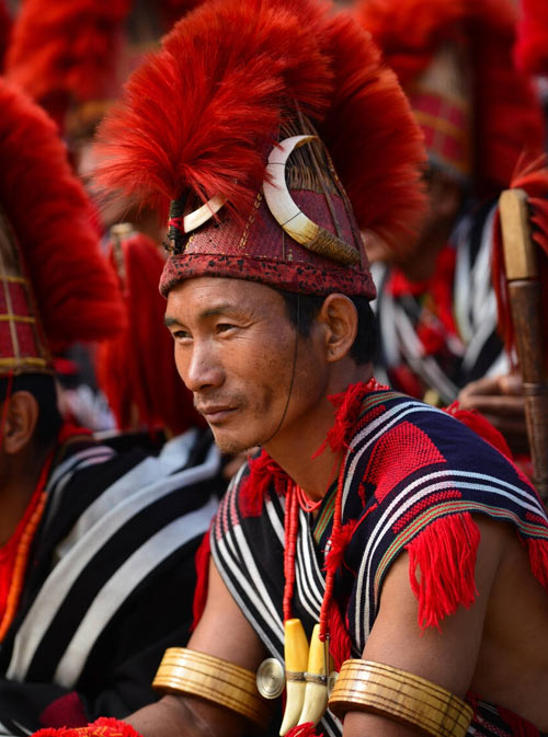 Hornbill Festival Tours