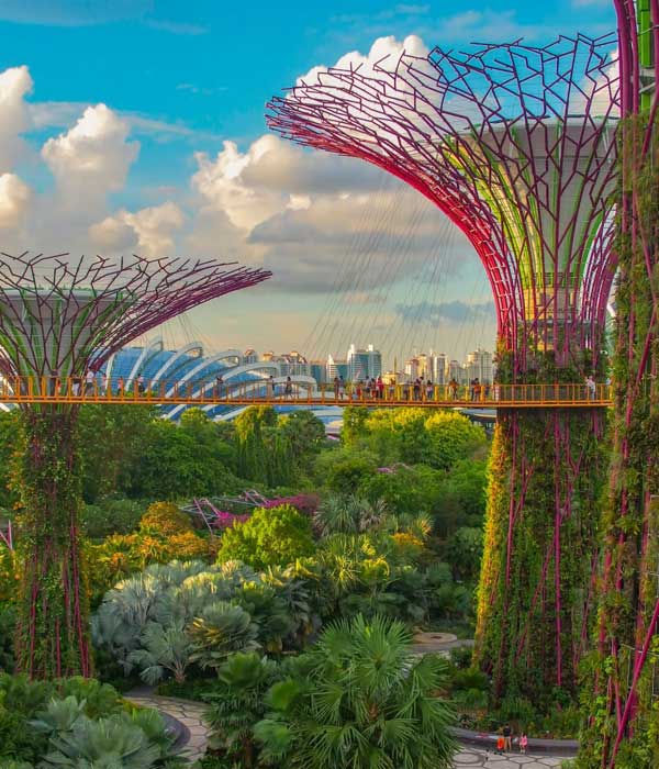 Luxury Singapore Tours